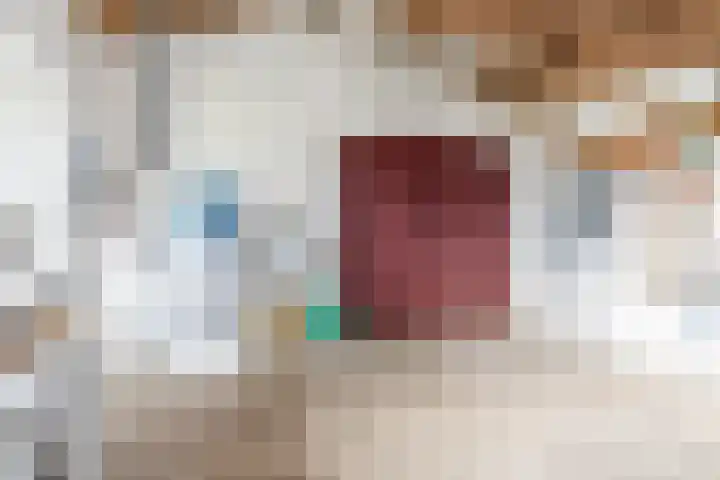 Jabeekerstraat 10 Schinveld thumbnail 31