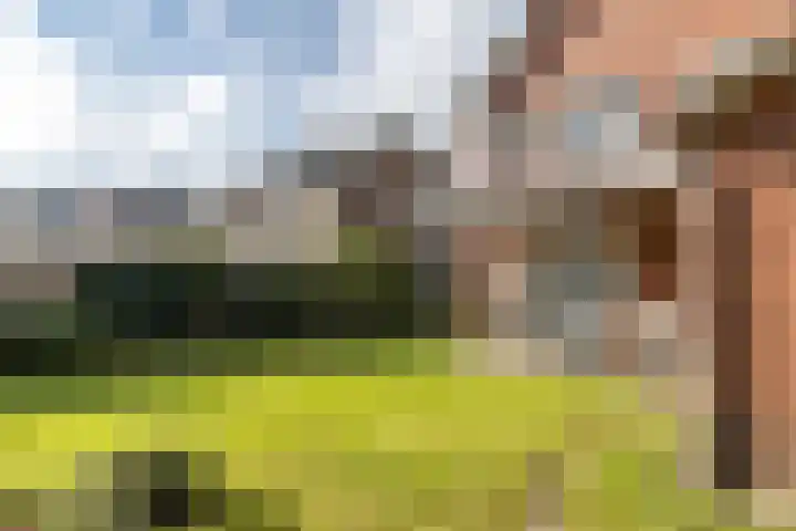 Jabeekerstraat 10 Schinveld thumbnail 33
