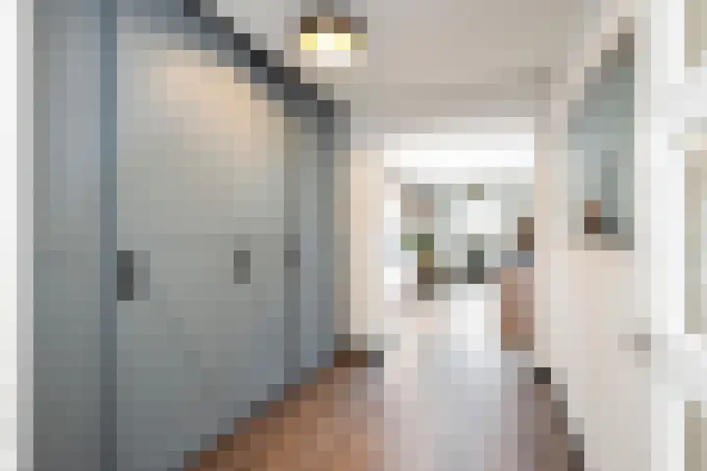 Jabeekerstraat 16 Schinveld thumbnail 20