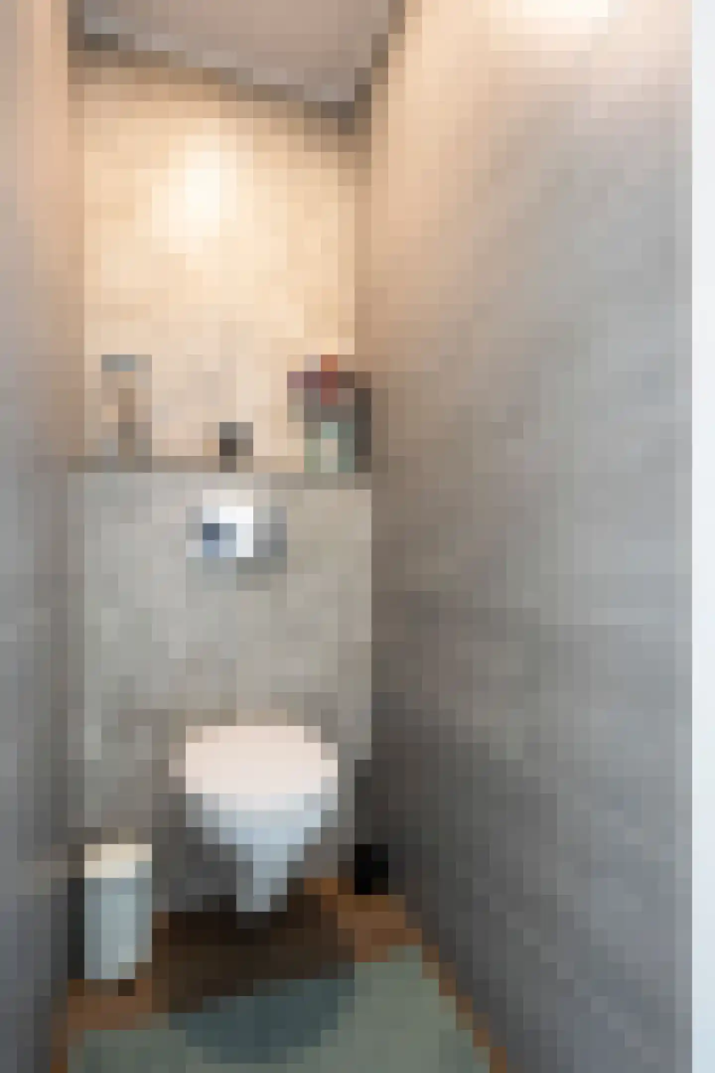 Jabeekerstraat 16 Schinveld thumbnail 7