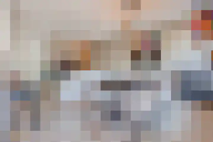 Jac. Bongaertsstraat 4 Tegelen thumbnail 6