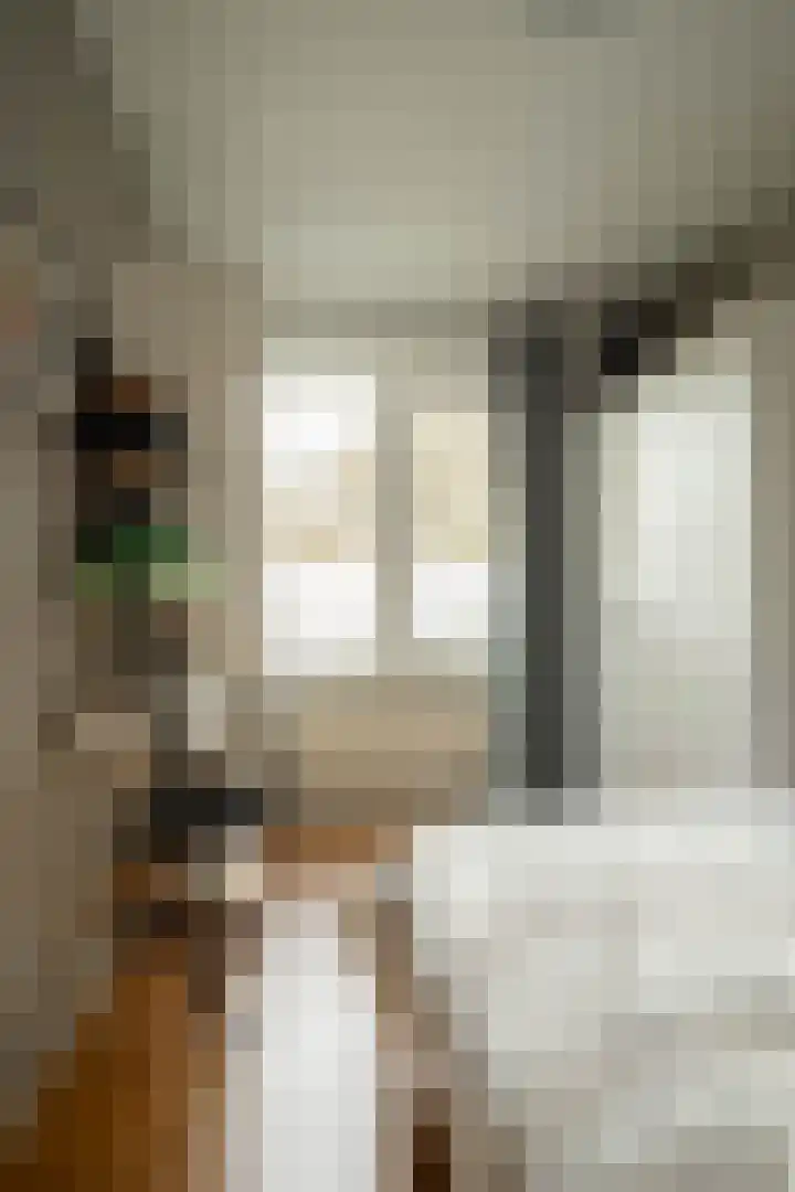 Jac. Heerenstraat 10 Helmond thumbnail 25