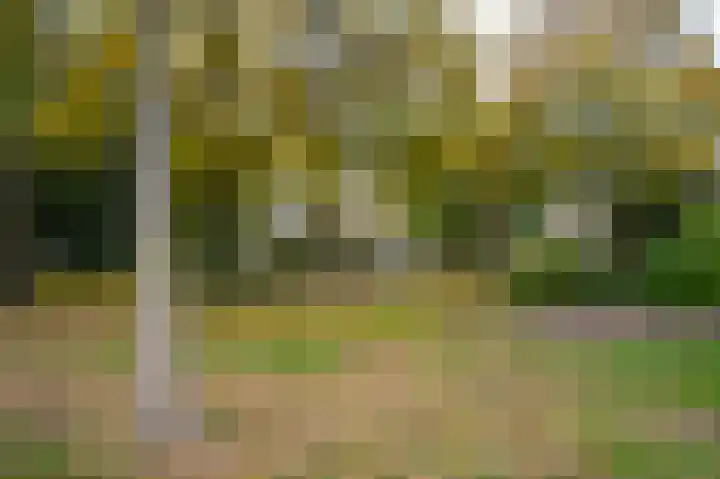 Jac. Heerenstraat 10 Helmond thumbnail 33