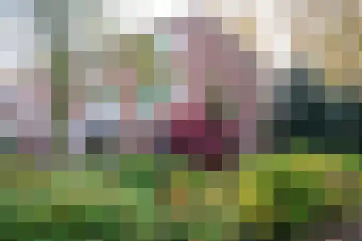 Jac. Heerenstraat 10 Helmond thumbnail 34