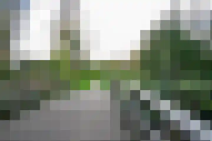 Jac. Heerenstraat 10 Helmond thumbnail 37