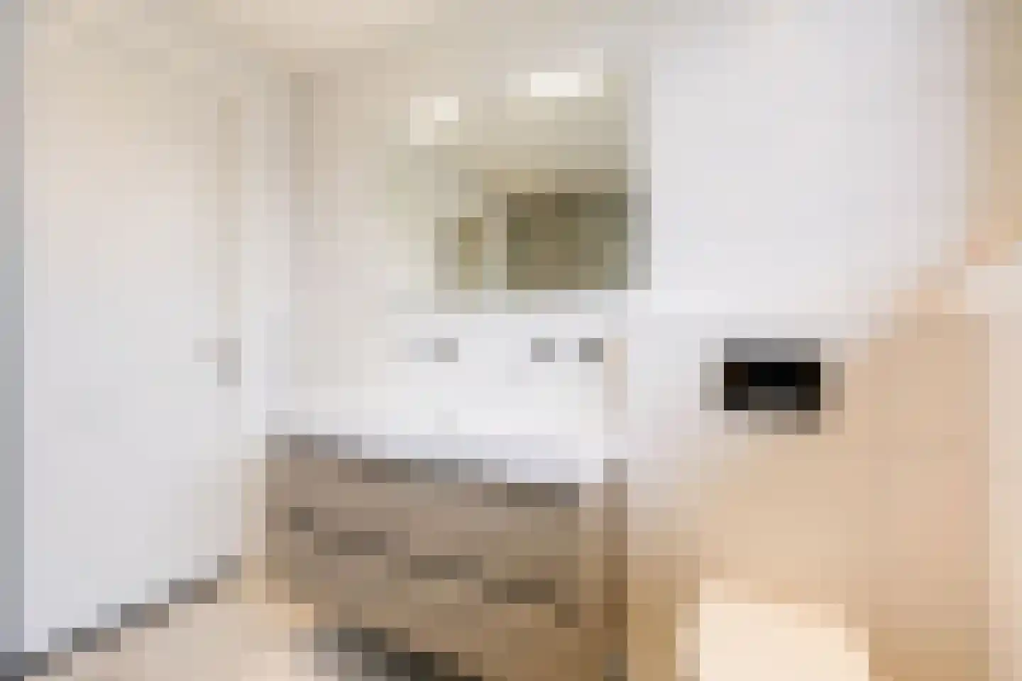 Jac Marisstraat 12 Heumen thumbnail 37