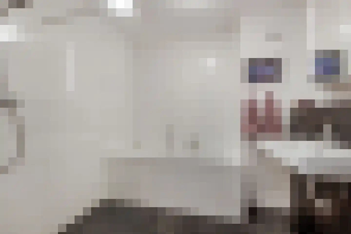 Jac. P. Thijsselaan 13 Oegstgeest thumbnail 14