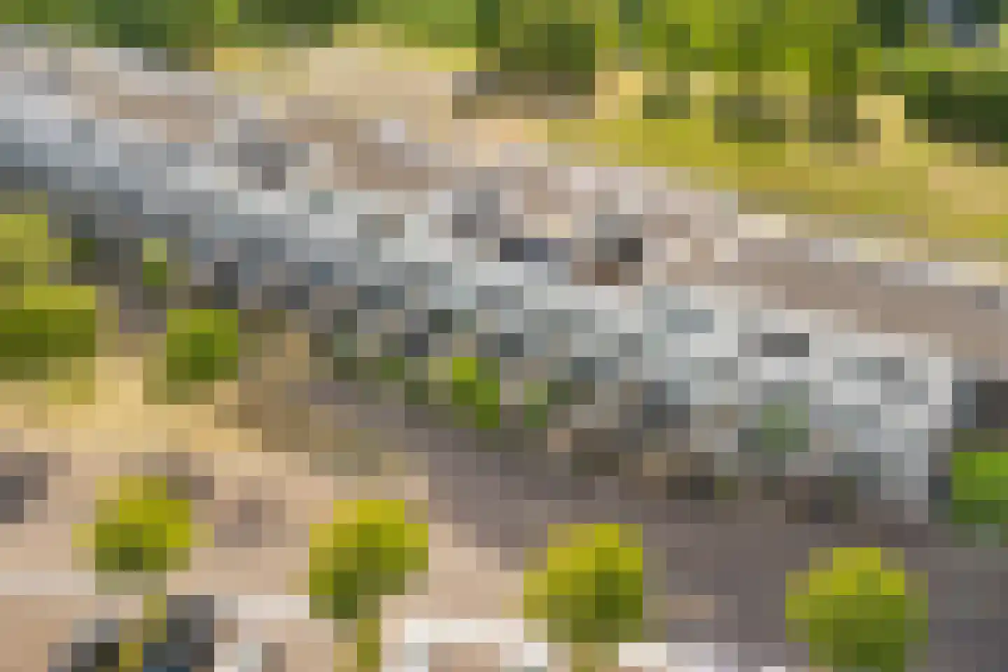 Jac. P. Thijsselaan 13 Oegstgeest thumbnail 33