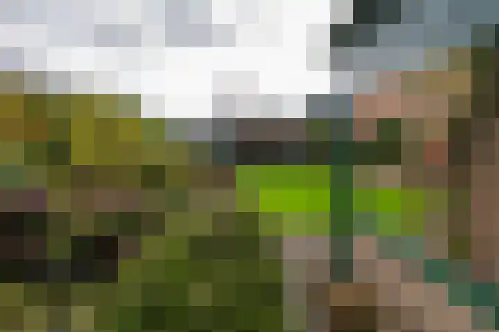 Jac. P. Thijsselaan 27 Aalsmeer thumbnail 26