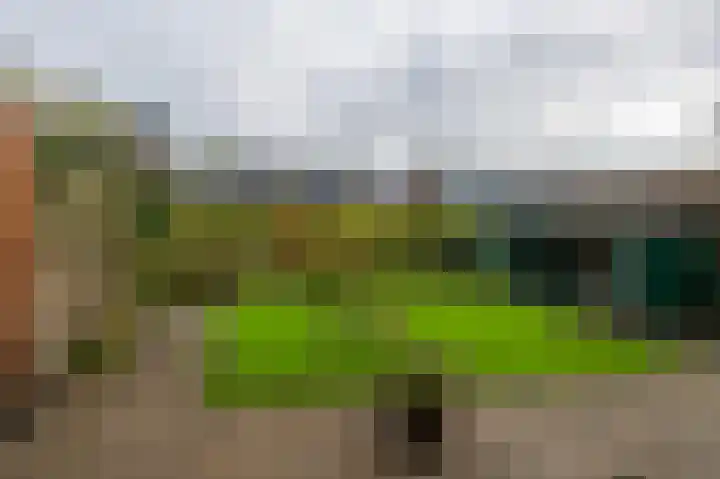 Jac. P. Thijsselaan 27 Aalsmeer thumbnail 30