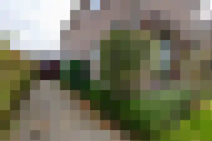 Jac. P. Thijsselaan 27 Aalsmeer thumbnail 35