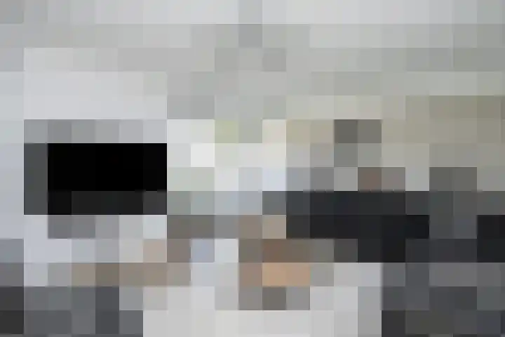 Jac P Thijsselaan 27 Zwolle thumbnail 10