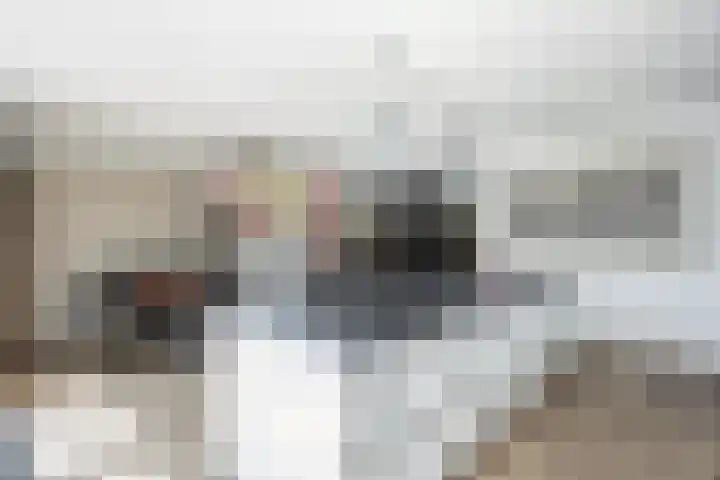 Jac P Thijsselaan 27 Zwolle thumbnail 12