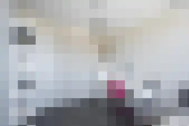Jac P Thijsselaan 27 Zwolle thumbnail 28