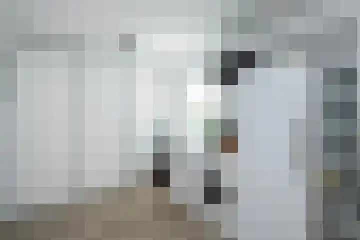 Jac P Thijsselaan 27 Zwolle thumbnail 36