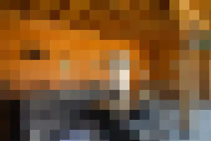 Jac P Thijsselaan 27 Zwolle thumbnail 42