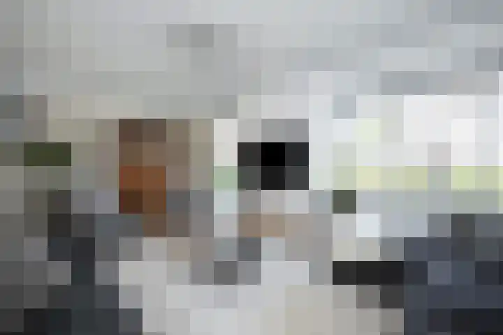 Jac P Thijsselaan 27 Zwolle thumbnail 9