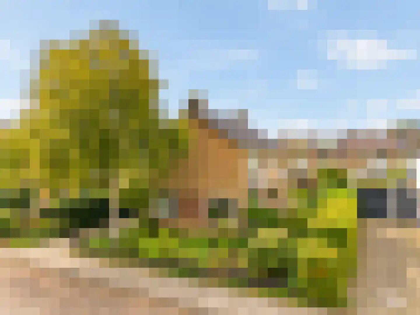 Jac. P. Thijsselaan 29 in Aalsmeer