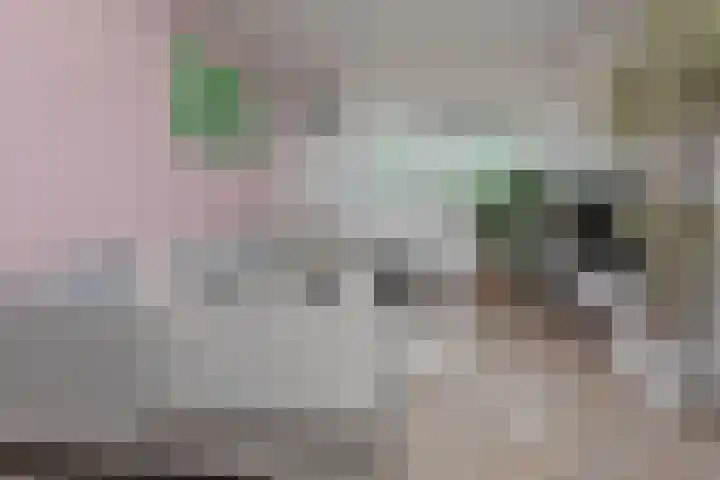 Jac. P. Thijsselaan 31 Aalsmeer thumbnail 12