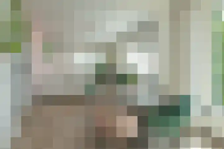 Jac. P. Thijsselaan 31 Aalsmeer thumbnail 13
