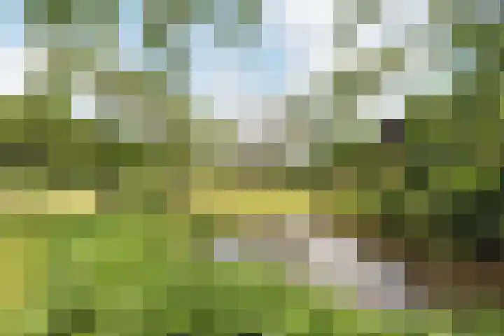 Jac. P. Thijsselaan 31 Aalsmeer thumbnail 27