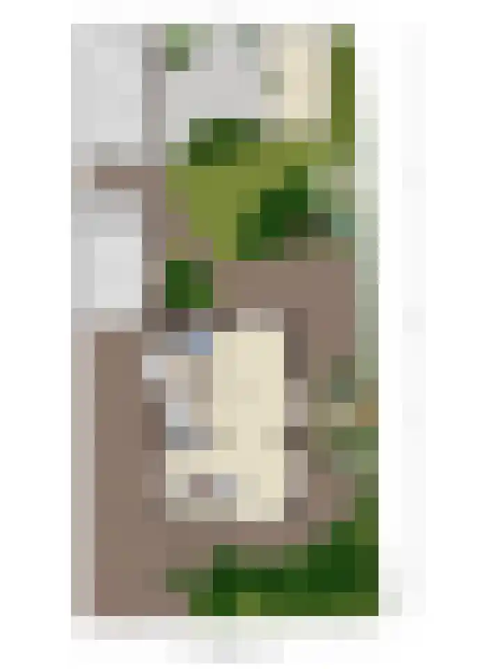 Jac. P. Thijsselaan 31 Aalsmeer thumbnail 36