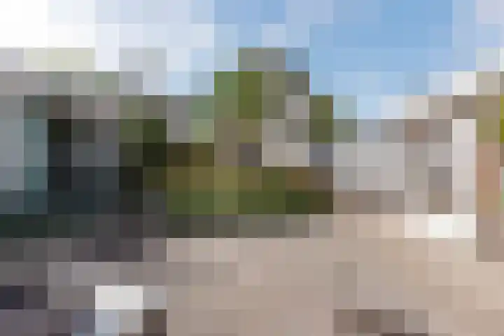 Jac. P. Thijsselaan 31 Aalsmeer thumbnail 4