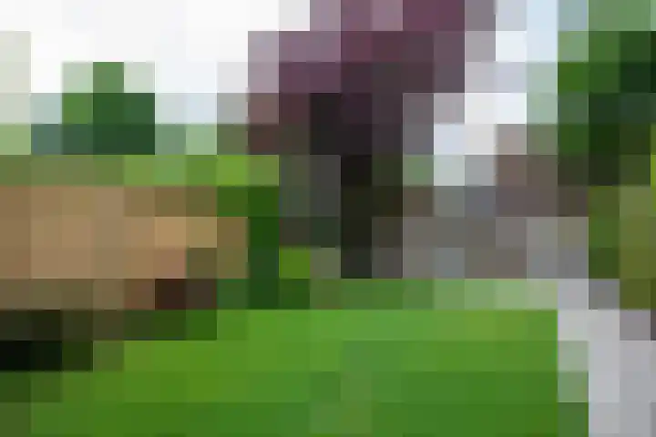 Jac. P. Thijsselaan 40 Aalsmeer thumbnail 38