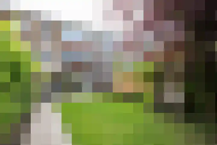 Jac. P. Thijsselaan 40 Aalsmeer thumbnail 39