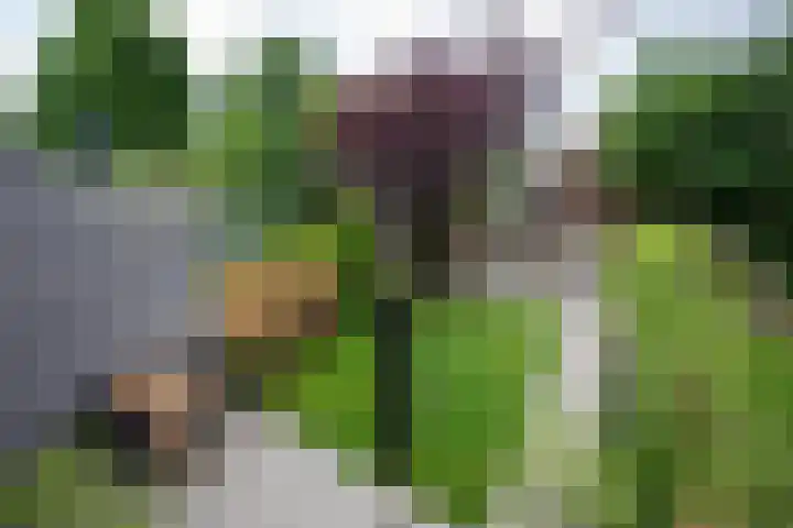 Jac. P. Thijsselaan 40 Aalsmeer thumbnail 4