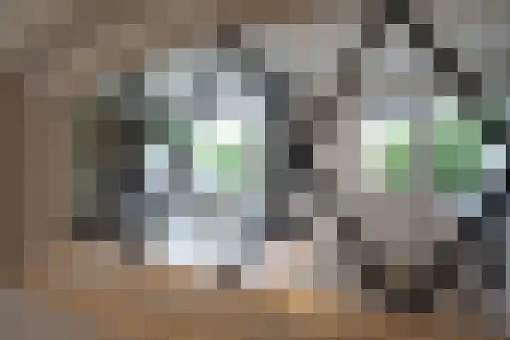 Jac. P. Thijsselaan 40 Aalsmeer thumbnail 8