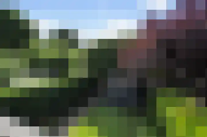 Jac. P. Thijsselaan 42 Aalsmeer thumbnail 18