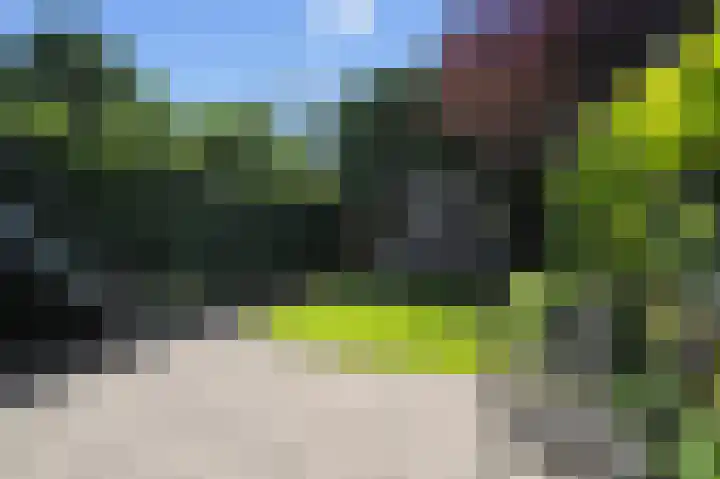 Jac. P. Thijsselaan 42 Aalsmeer thumbnail 53