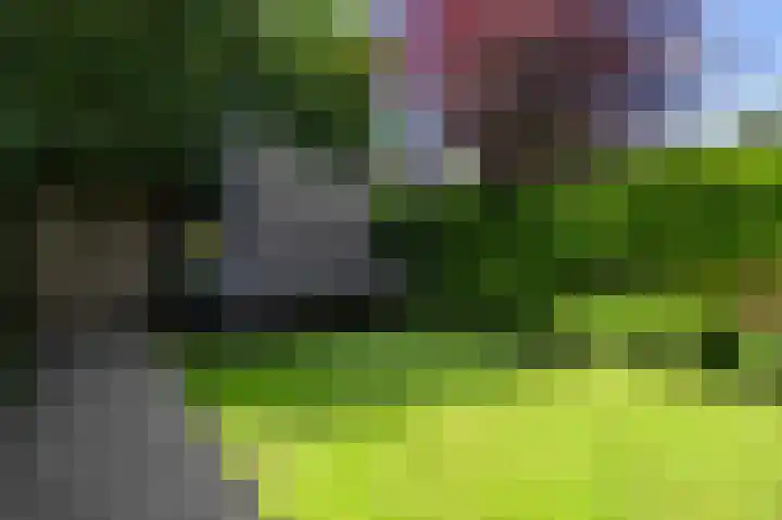 Jac. P. Thijsselaan 42 Aalsmeer thumbnail 55