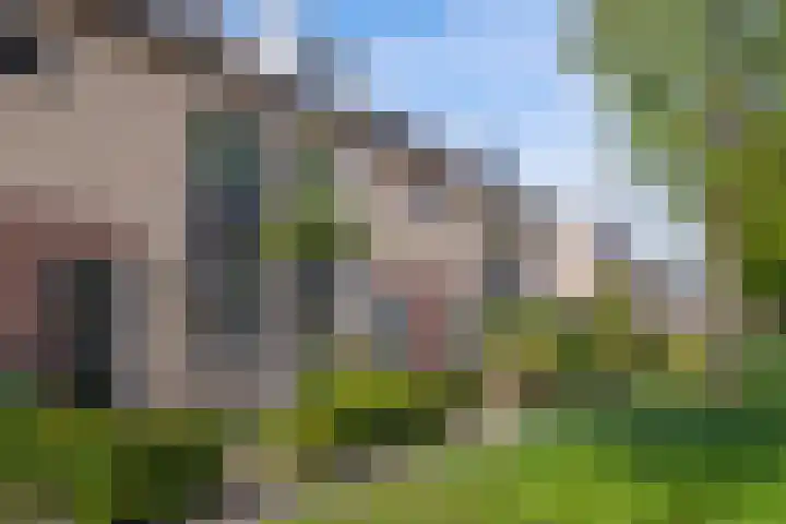 Jac.P. Thijsselaan 44 Veenendaal thumbnail 28