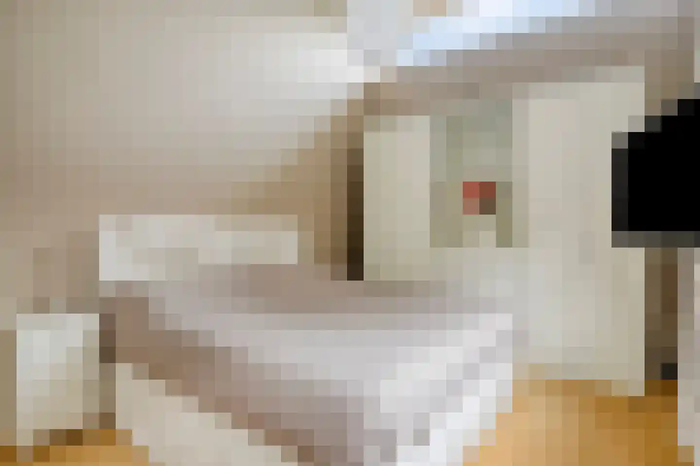 Jac. P. Thijsselaan 48 Oegstgeest thumbnail 27
