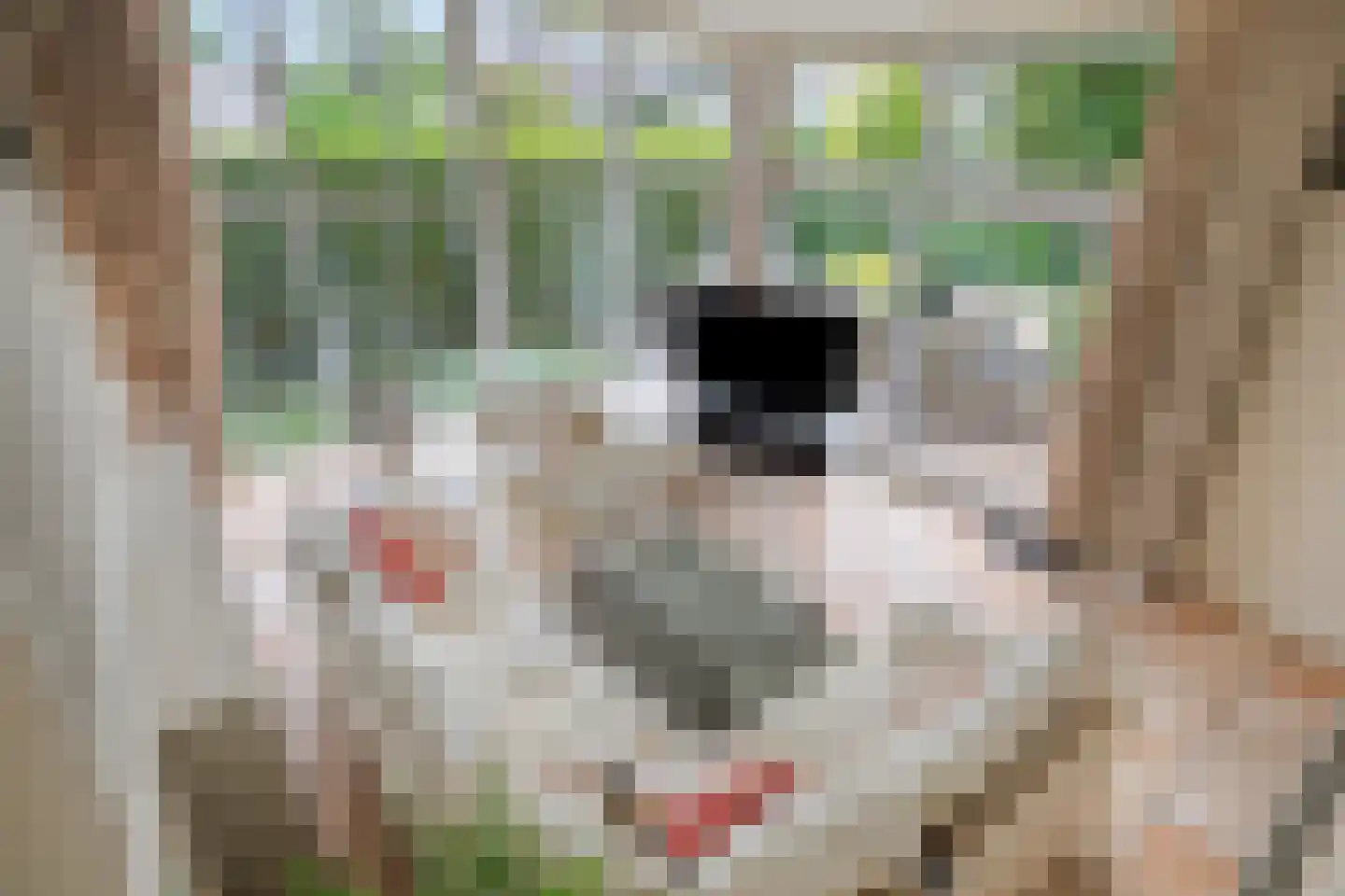 Jac. P. Thijsselaan 48 Oegstgeest thumbnail 4