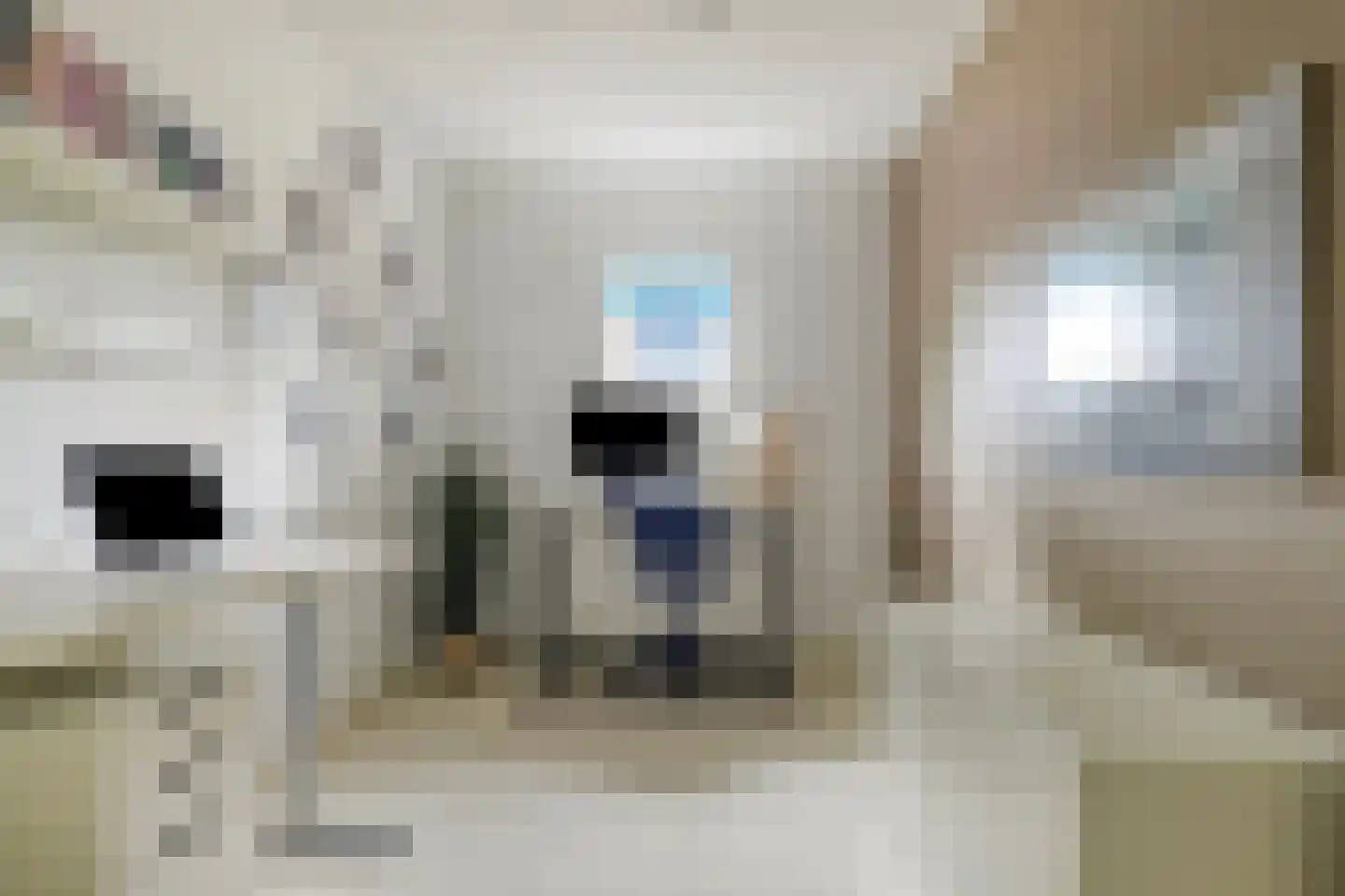 Jac. P. Thijsselaan 48 Oegstgeest thumbnail 44