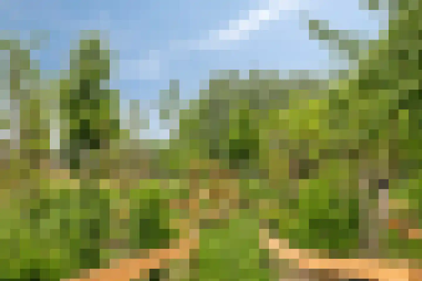 Jac. P. Thijsselaan 48 Oegstgeest thumbnail 54