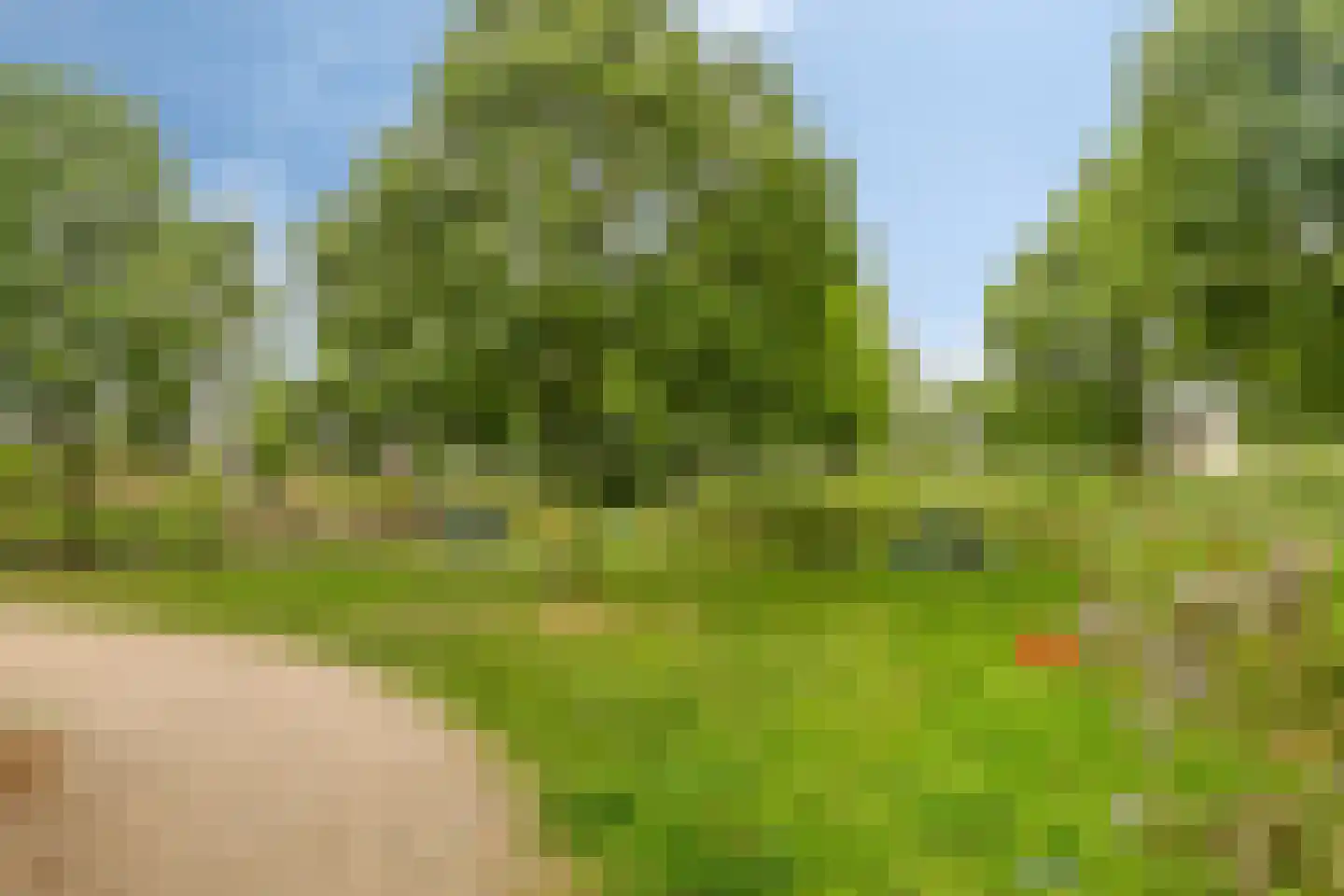 Jac. P. Thijsselaan 48 Oegstgeest thumbnail 55