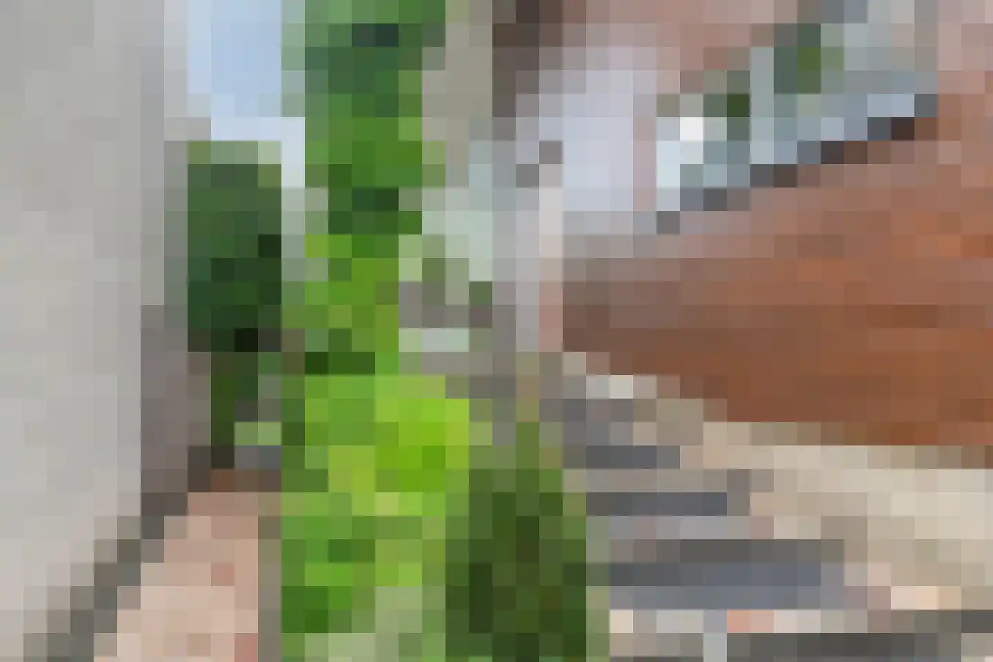 Jac. P. Thijsselaan 48 Oegstgeest thumbnail 7