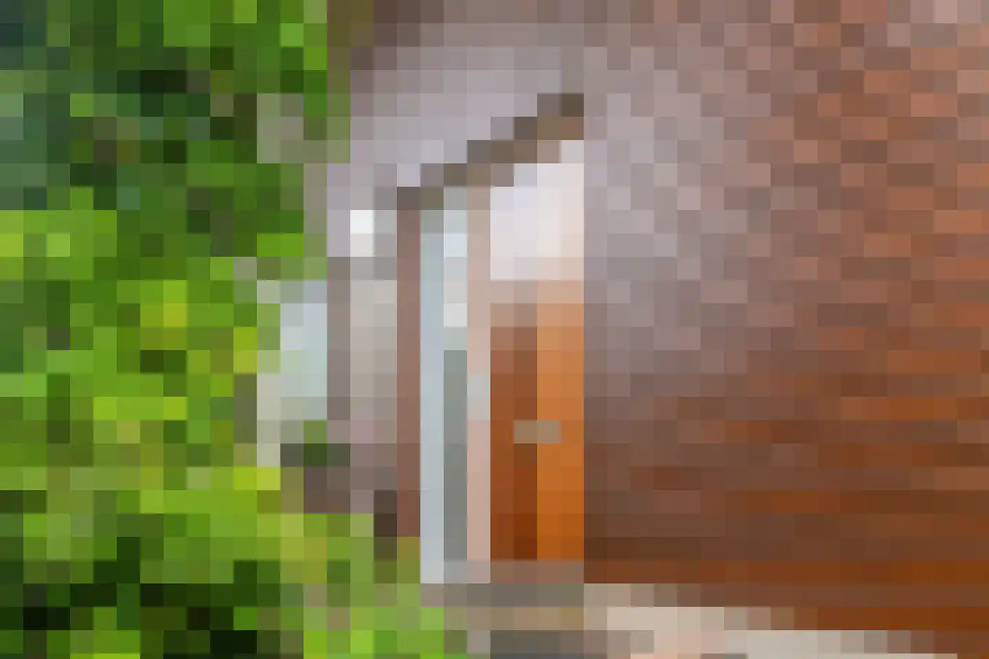 Jac. P. Thijsselaan 48 Oegstgeest thumbnail 8