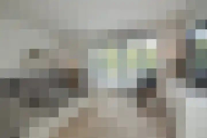 Jac. P. Thijsselaan 86 Oegstgeest thumbnail 14