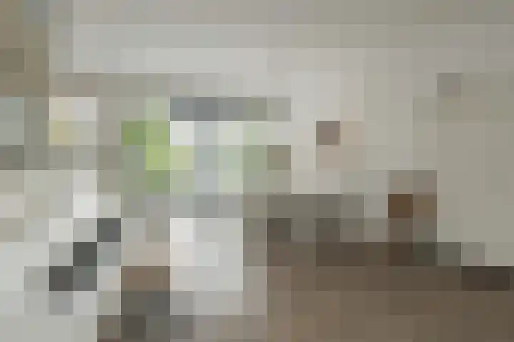 Jac. P. Thijsselaan 86 Oegstgeest thumbnail 18