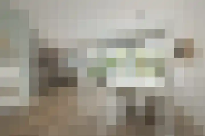 Jac. P. Thijsselaan 86 Oegstgeest thumbnail 19