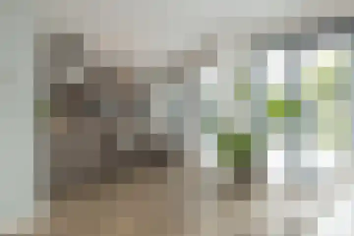 Jac. P. Thijsselaan 86 Oegstgeest thumbnail 20