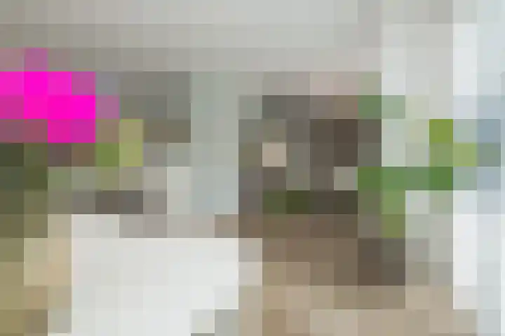 Jac. P. Thijsselaan 86 Oegstgeest thumbnail 21