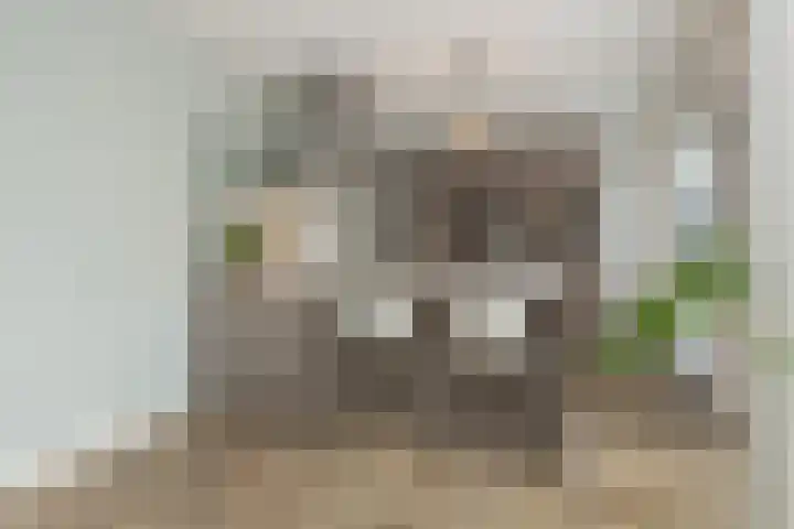 Jac. P. Thijsselaan 86 Oegstgeest thumbnail 22