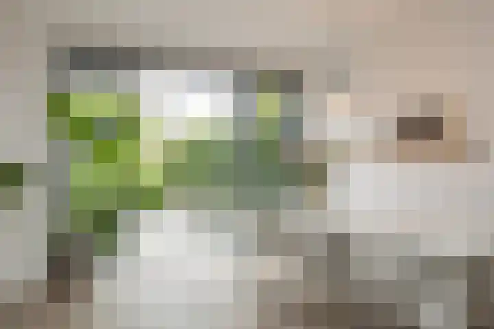 Jac. P. Thijsselaan 86 Oegstgeest thumbnail 28