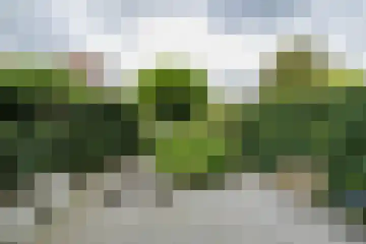 Jac. P. Thijsselaan 86 Oegstgeest thumbnail 29